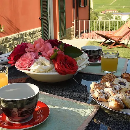 度假居 阿尔瓦特罗斯度假屋 *